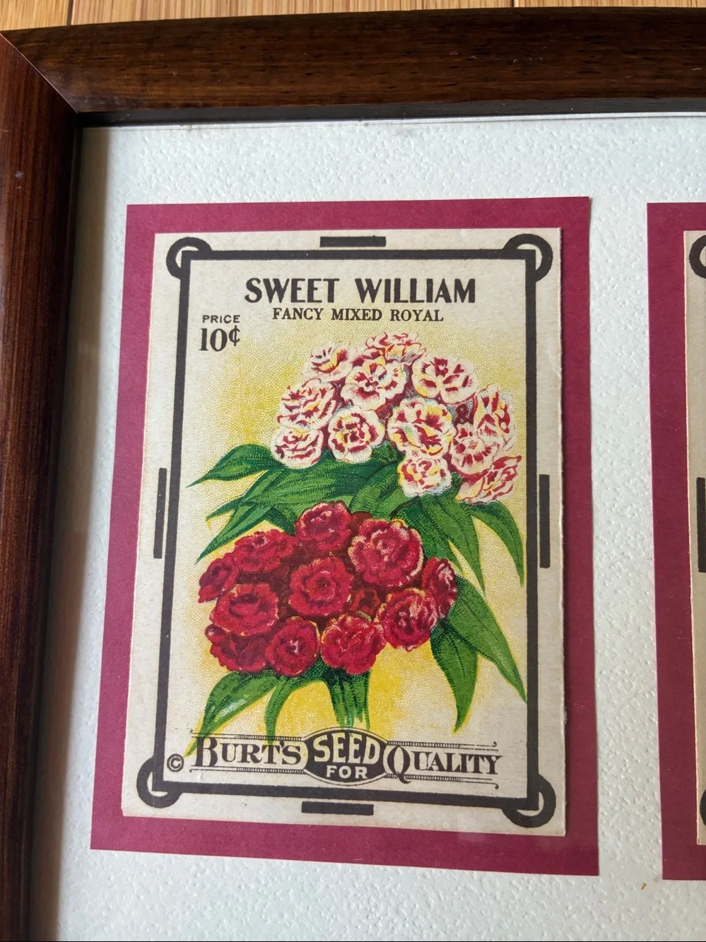 Vintage Burt’s Seed Packet Wall Art | Framed Botanical Kitchen Decor | Cottage